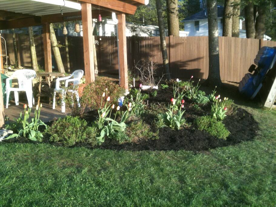 patio