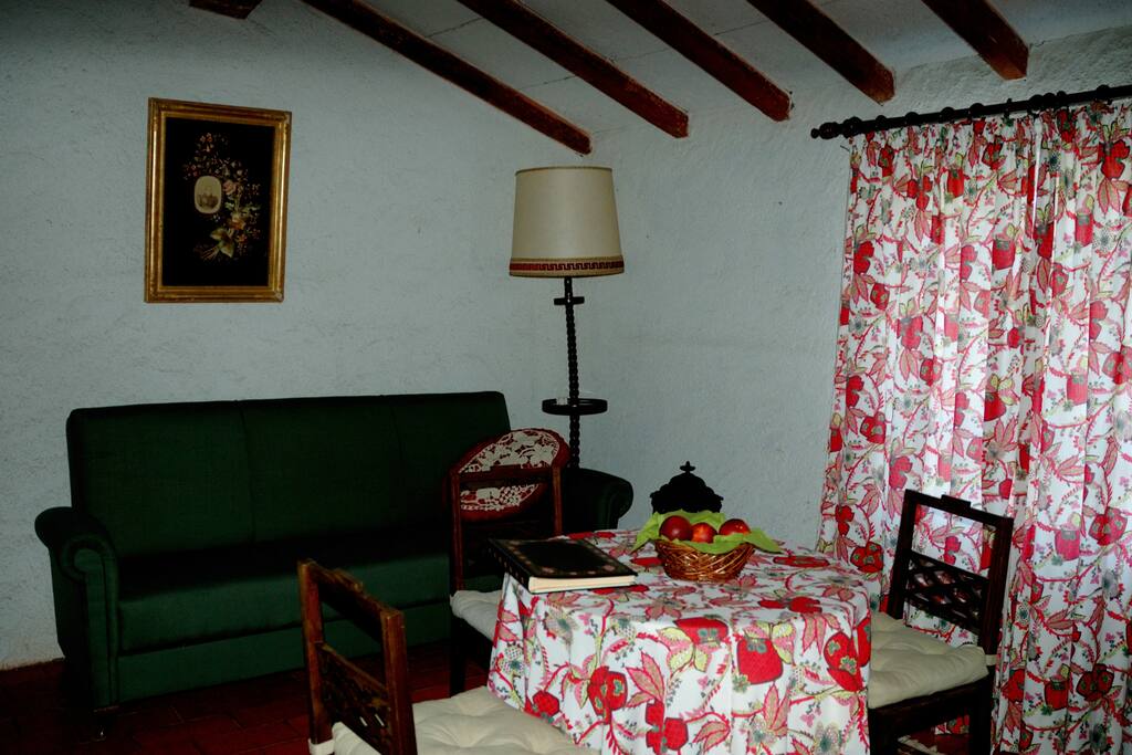 Living room with sofa bed
