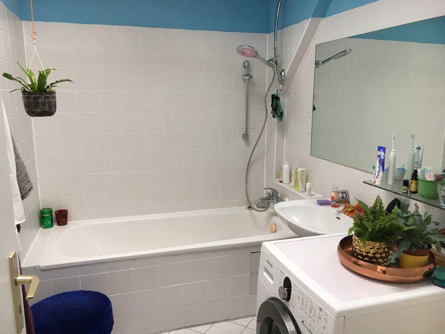 daylight bathroom with washing machine