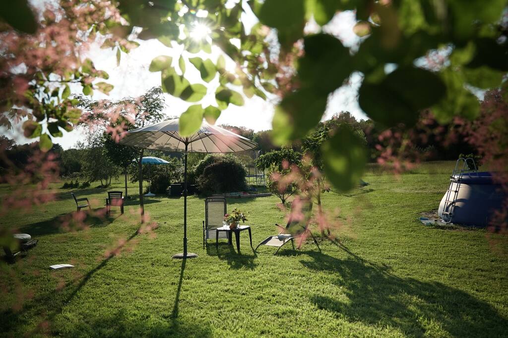 Un coin du jardin