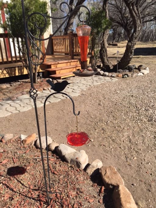 Hummingbird Feeders