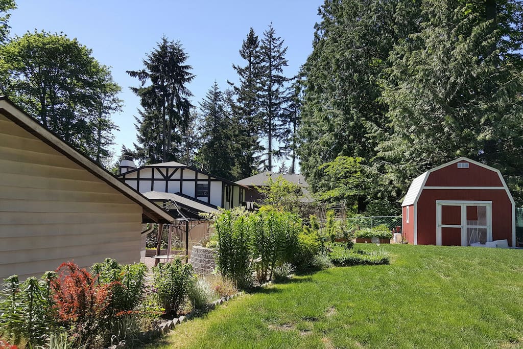 Nice backyard area.
