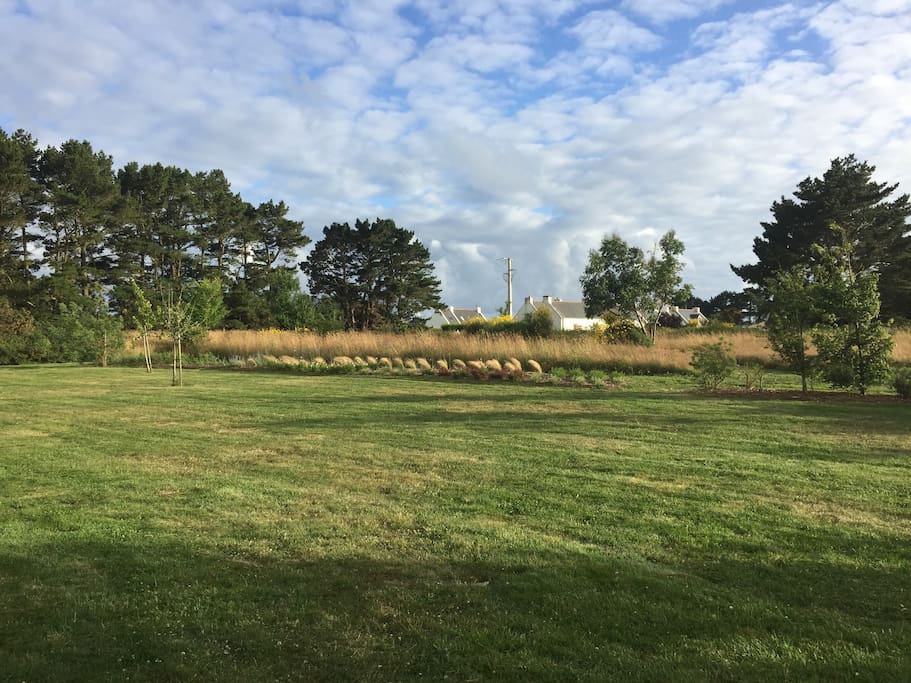 Terrain de 1 hectare
