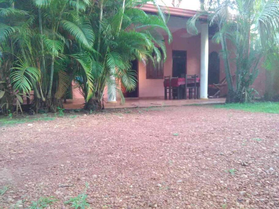 Garden and Entrance