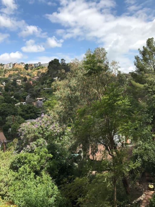 View From Balcony
