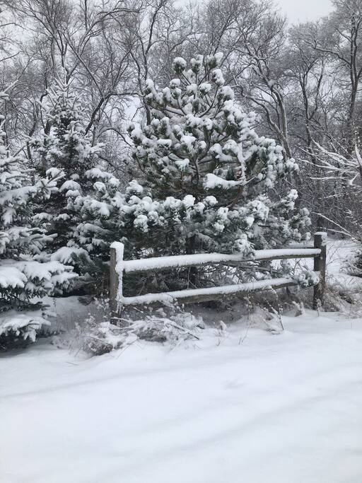 Spectacular winter activities abound!