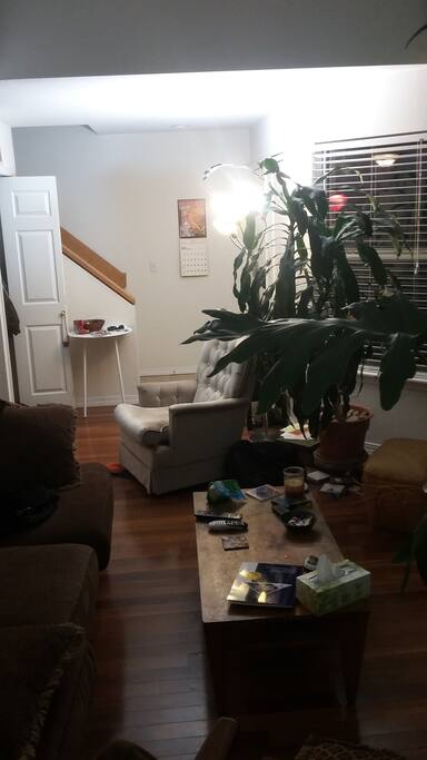 Another view of the living room.