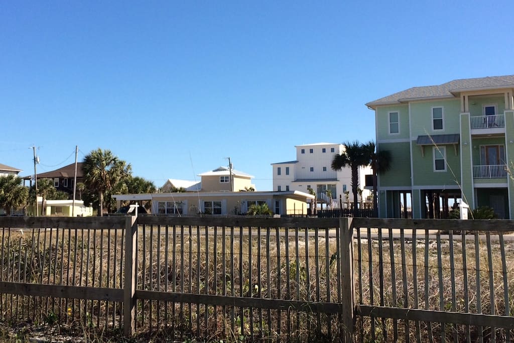 View of back yard