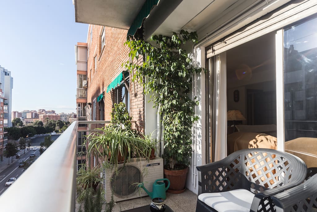 Terraza