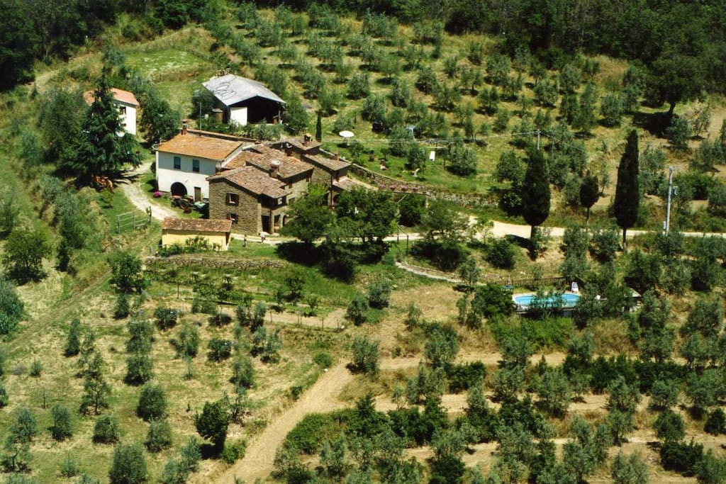 Aerial view over the property