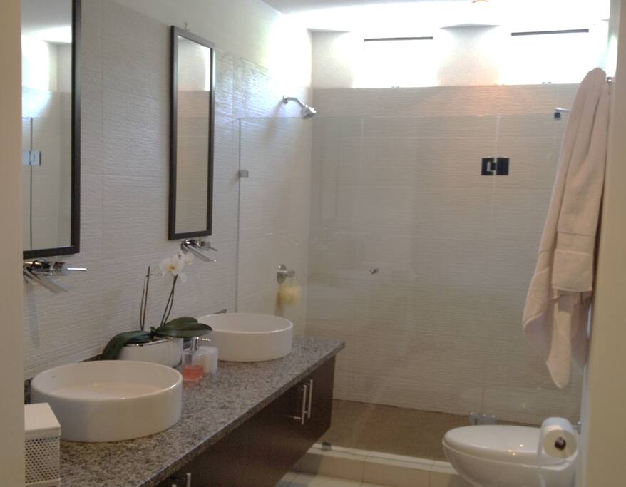 Renovate master bathroom