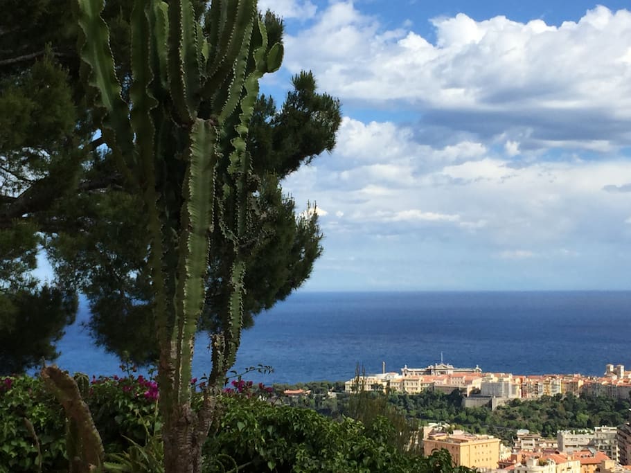 sea view and Prince's Palace from the residence