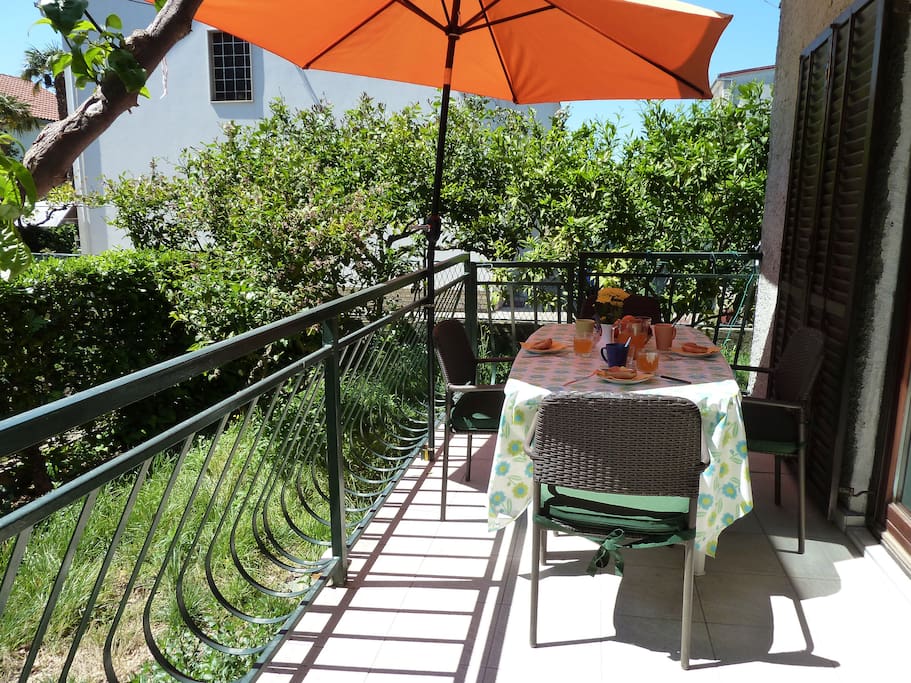 Terrace & the green garden