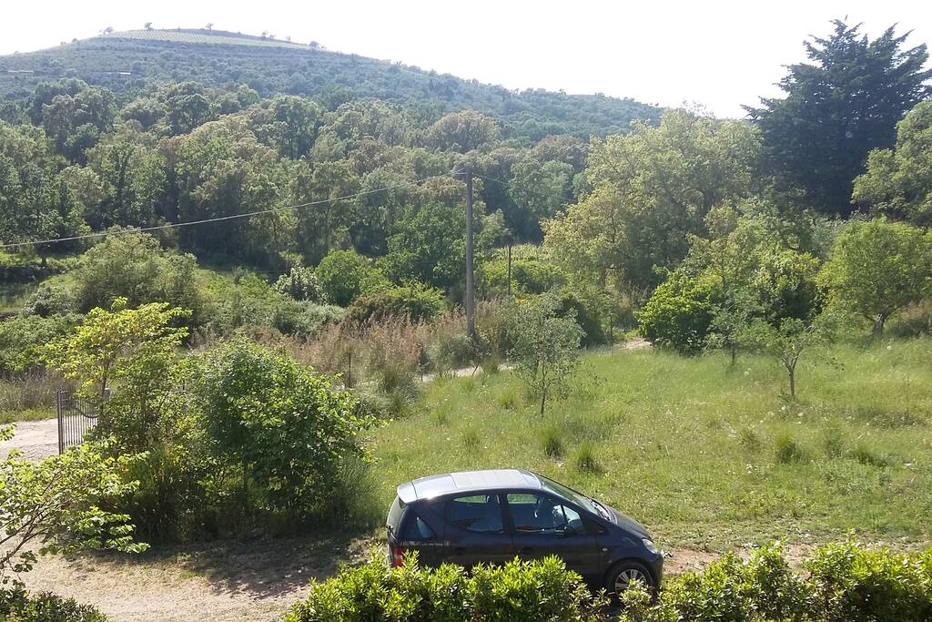 Giardino esterno