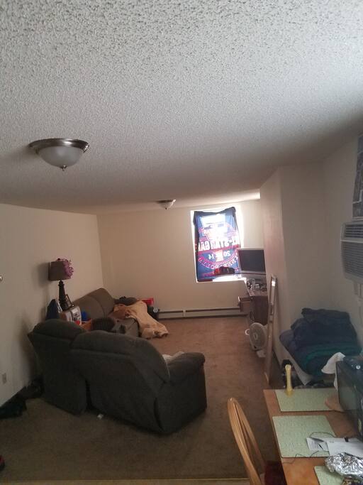 a larger view of the living room