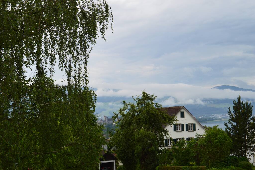 the view from our livingroom
