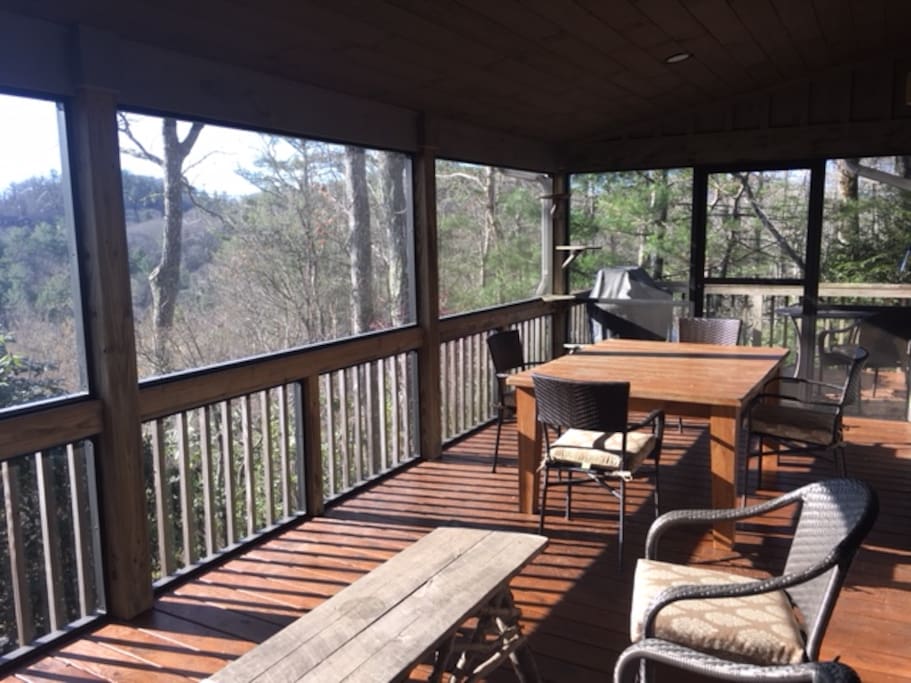 Screened in porch;4 Burner Weber Geneses Grill in distance
