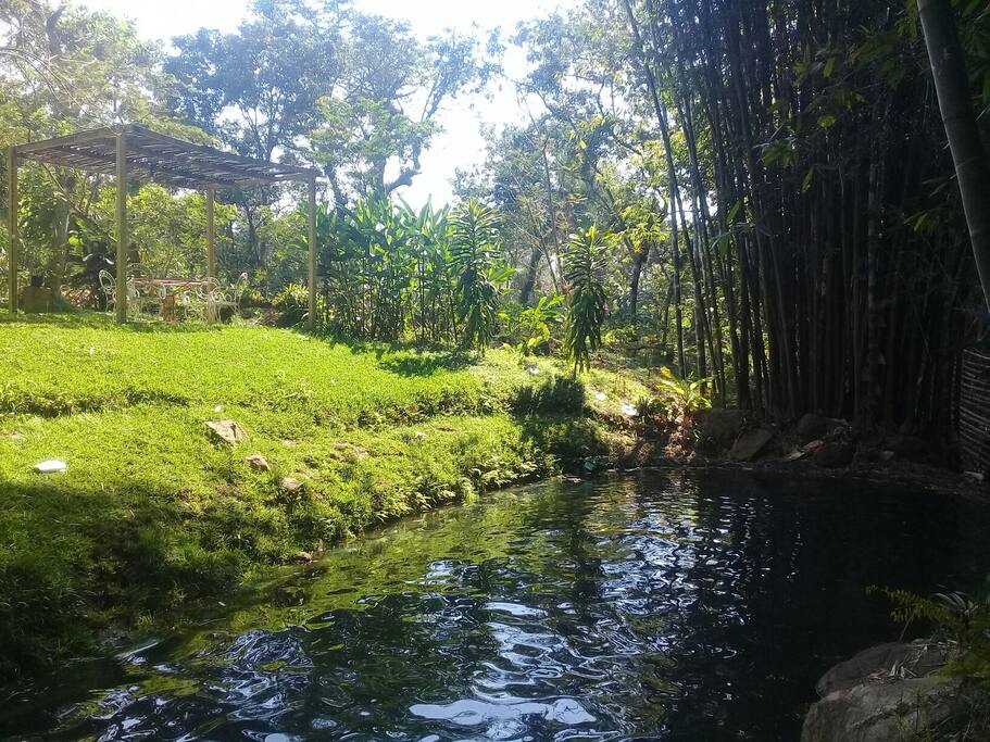 Pequeño Paquito con agua de rio