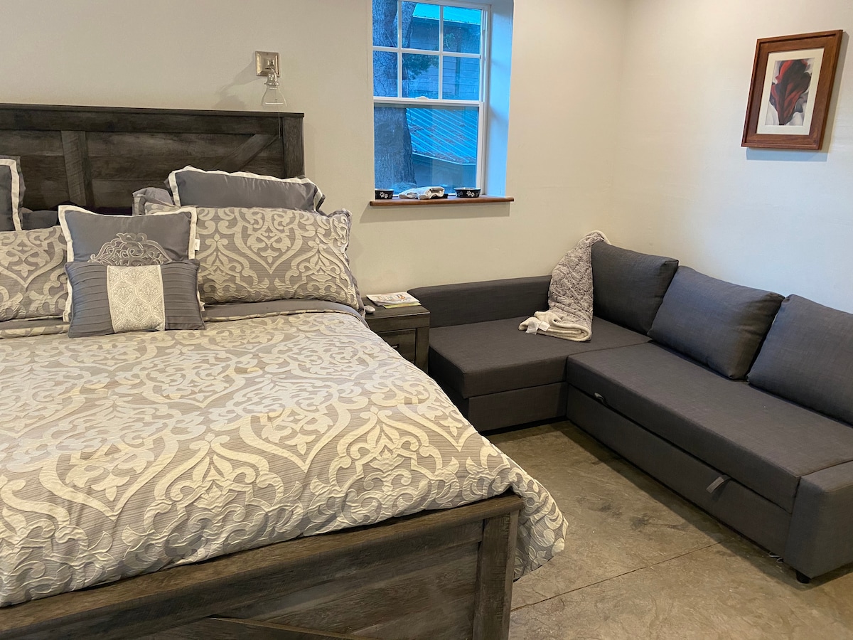 Master bedroom king bed and couch that folds into a queen bed