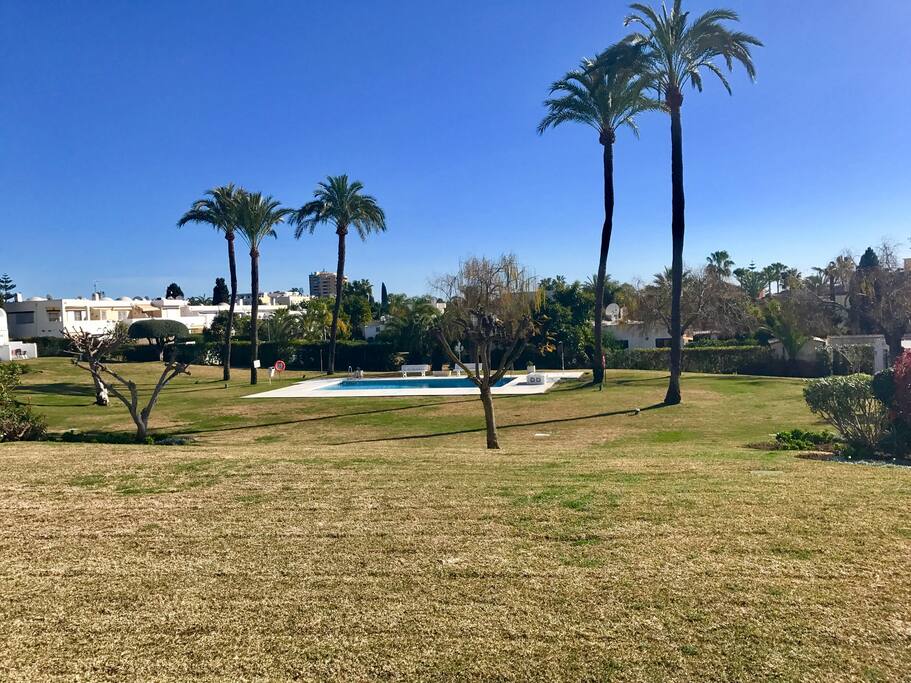 Large pool area with lots of green area