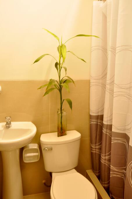 Baño independiente