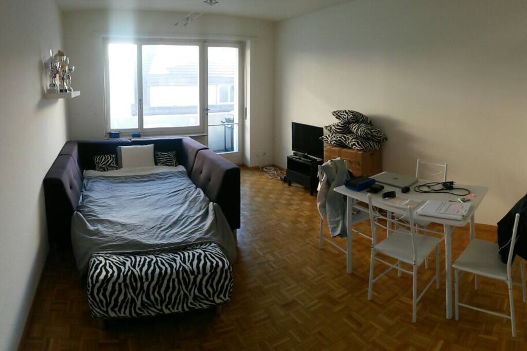 Living room with sofa bed