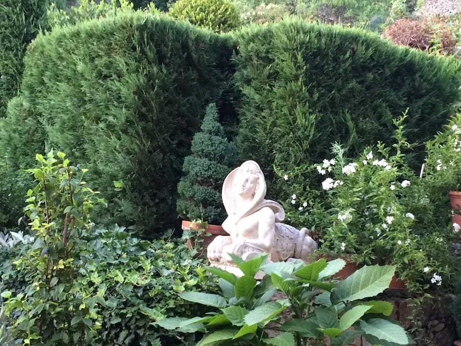 le jardin