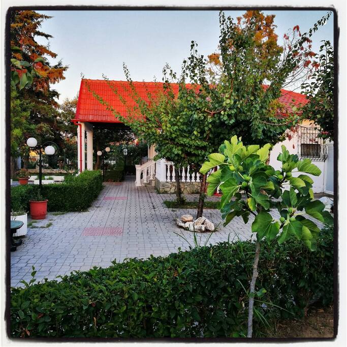 VILLA ROKY