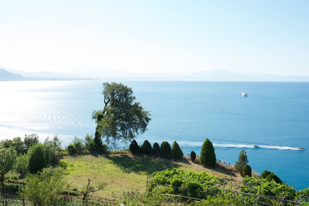 Sopra il Limoneto: terrazza panoramica