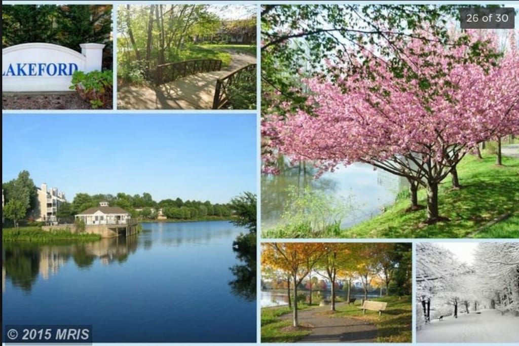 Lake across the street with paved walking path
