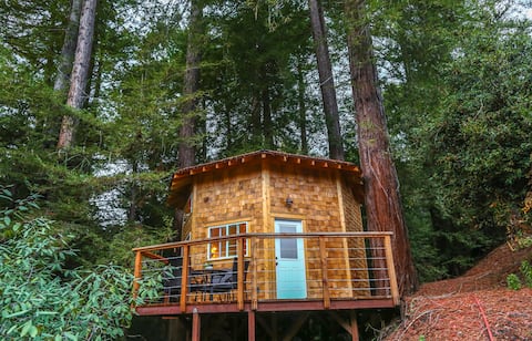 Redwood TreeHouse in Aptos Mountain Retreat & Spa