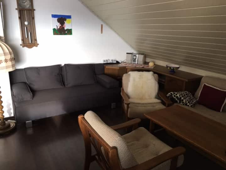 dnevni boravak sa sofom na razvlačenje, 2 dijela