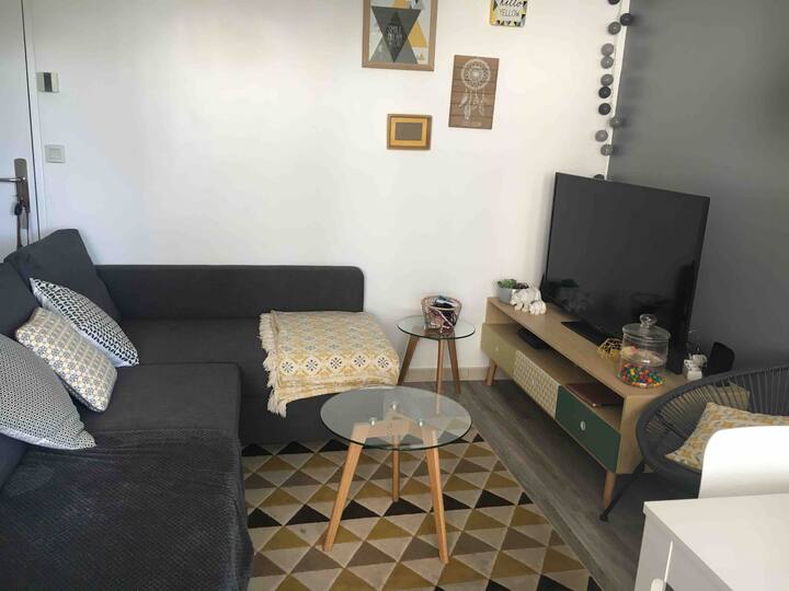 Appartement à Lyon Avec Terrasse - Chassieu