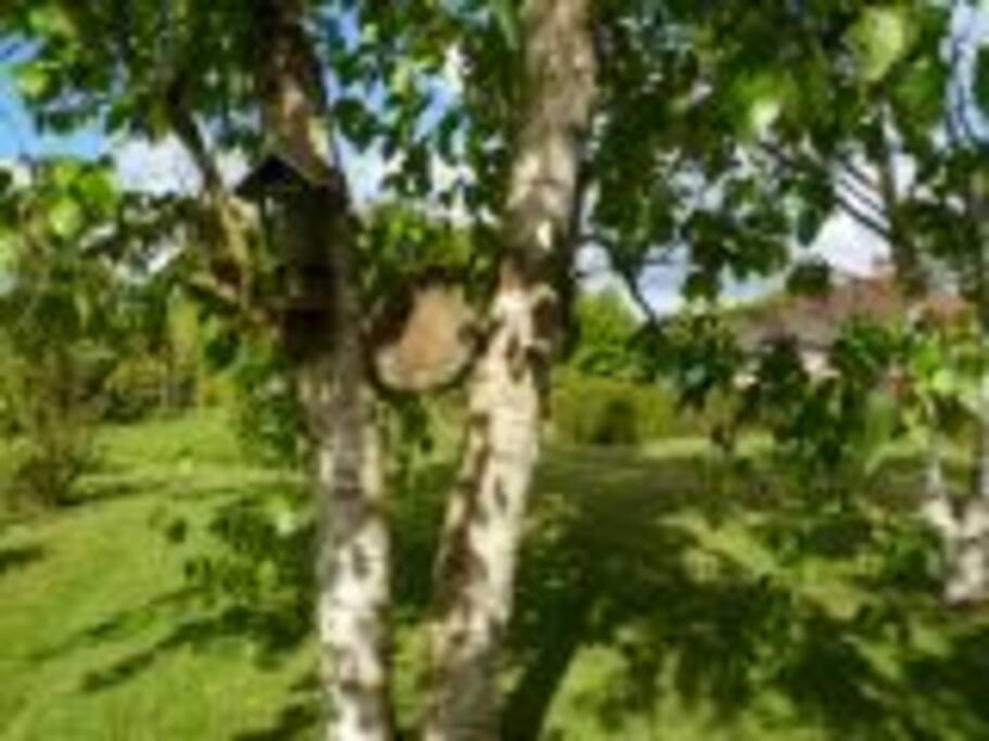 le jardin