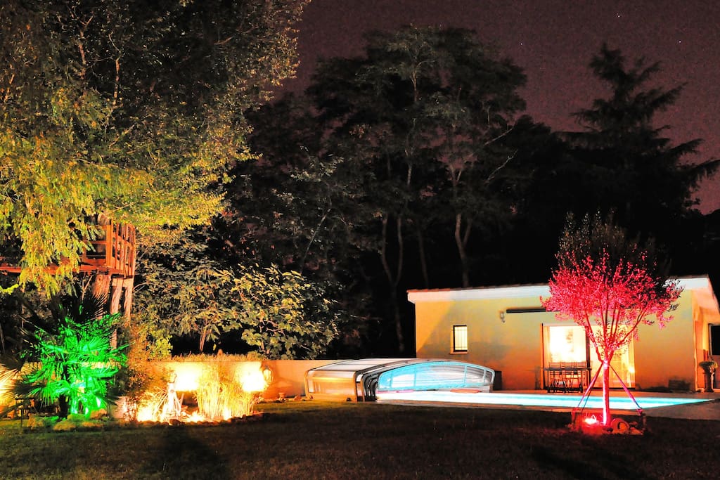 Jardin de nuit