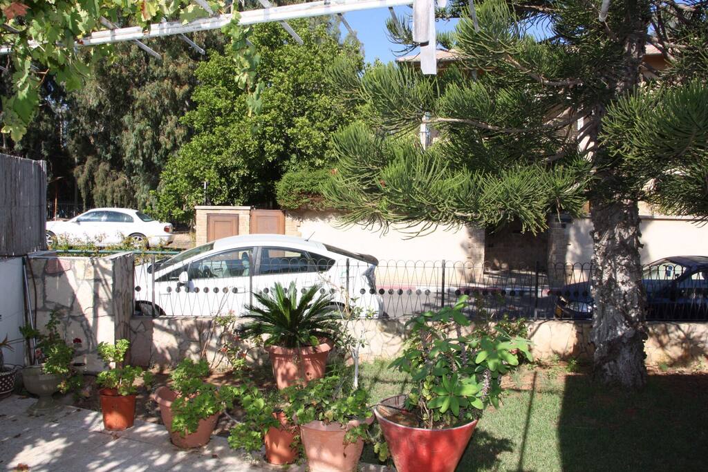 Front Garden