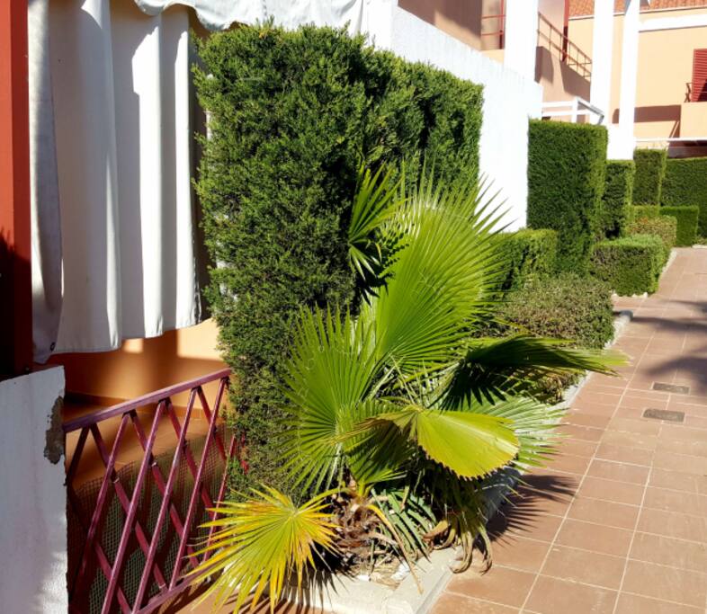 Entrada posterior de la casa, comunica con la piscina.
