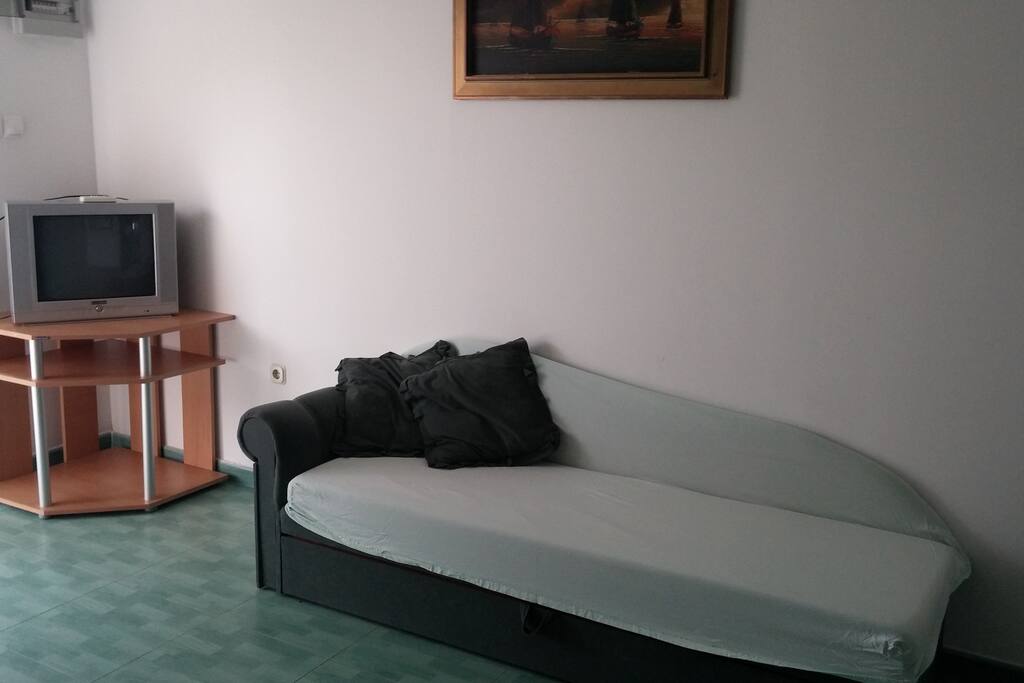 Living room, TV with a sofa that can be used as another bed
