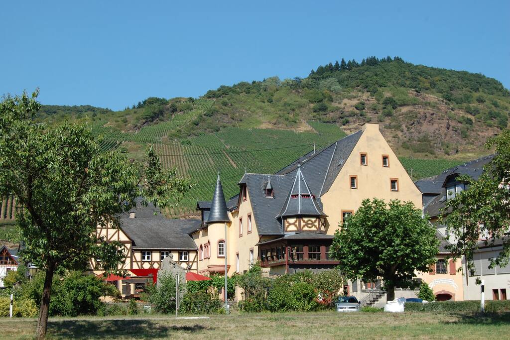 Im Hintergrund die Weinberge & vor der Tür die Mosel