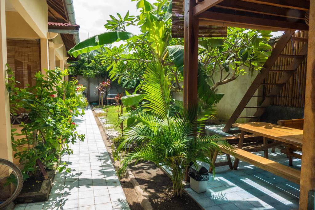 The garden and common area