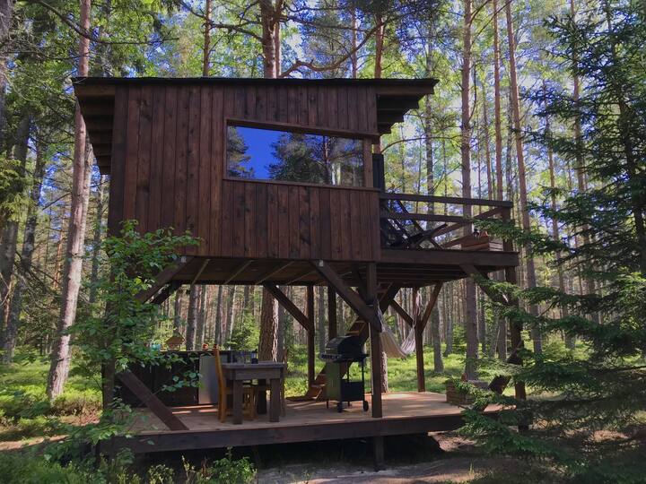 Tahkuna tree-house