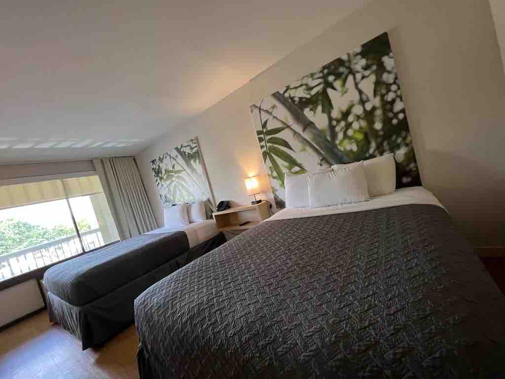 The guest room features two spacious beds, each dressed in dark, quilted covers. Large windows allow natural light, with views of greenery visible. Artwork depicting bamboo accents the walls, and a wooden desk is positioned beside the beds, contributing to a comfortable atmosphere.