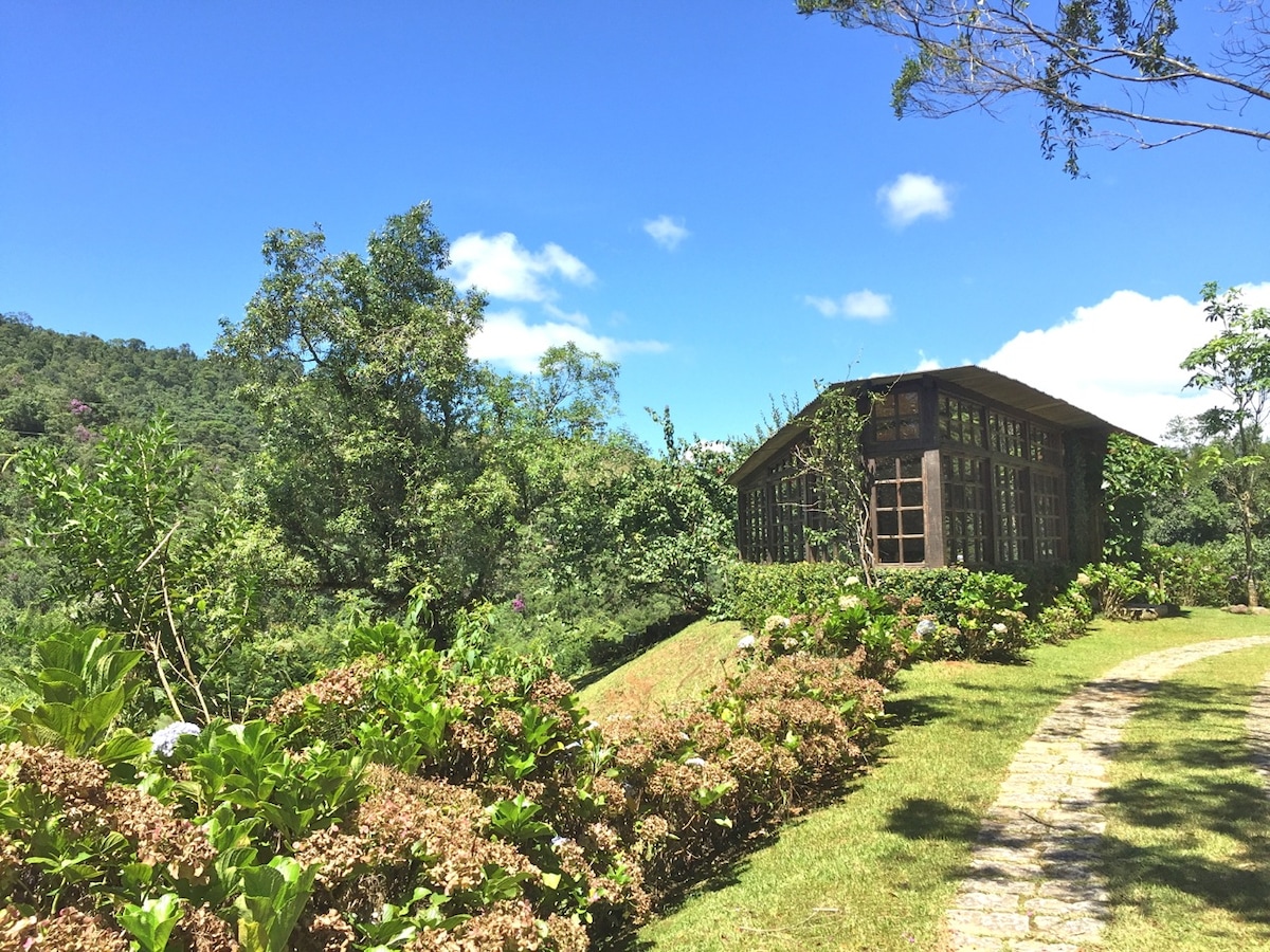 A chalet is set among vibrant greenery, surrounded by shrubs and plants, with a winding stone path leading to it. Large windows provide extensive views of the landscape, and the blue sky creates a serene backdrop.