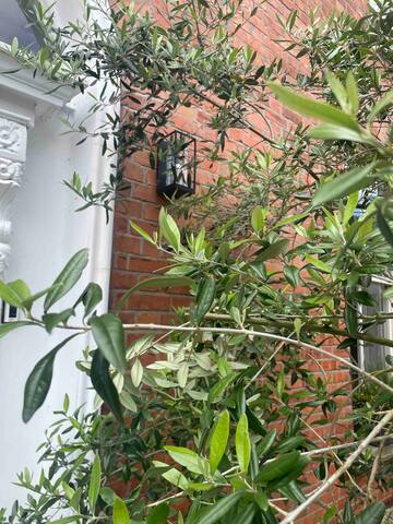 Ranelagh Gorgeous Serene Family Home D6. gallery image 5