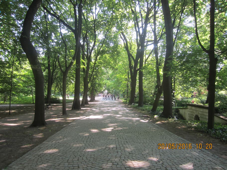 Most beautiful park in the street