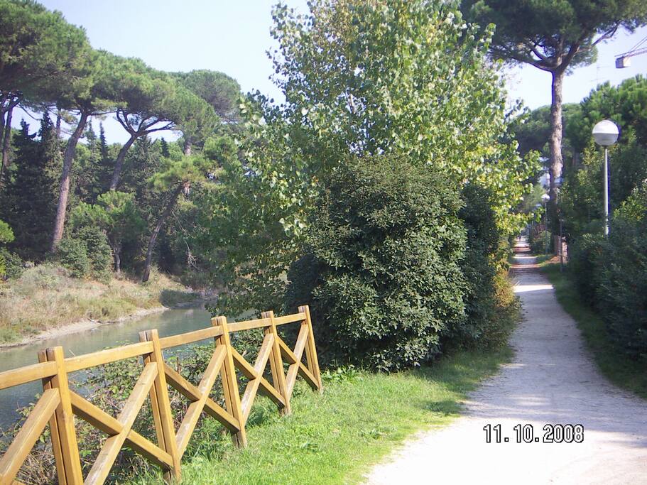 SENTIERO CHE CONDUCE AL MARE