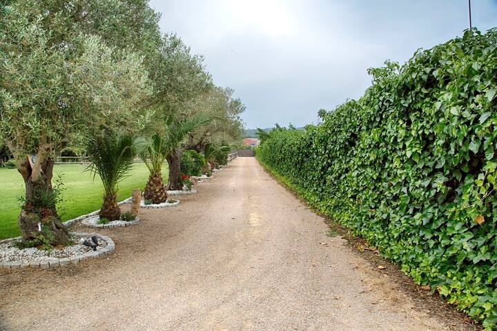 VILLA EN PALAFRUGELL – COSTA BRAVA gallery image 4