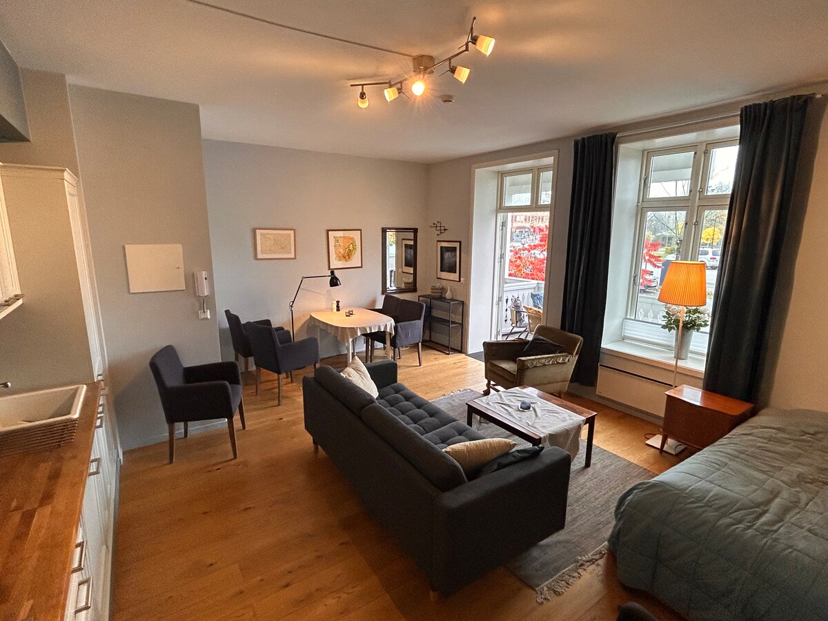 Amplia sala de estar con cocina, comedor, sofá y cama individual o doble.