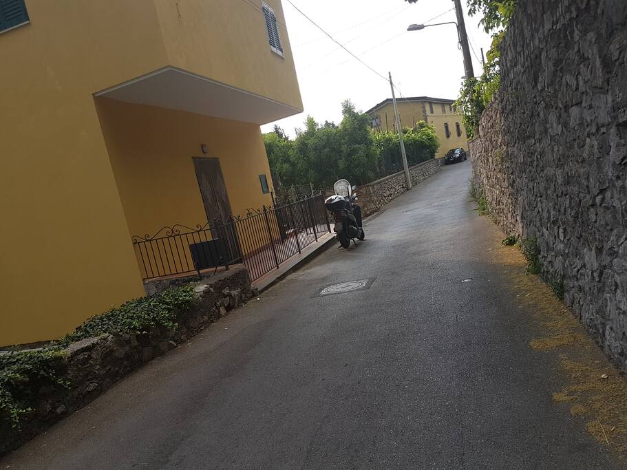 ingresso