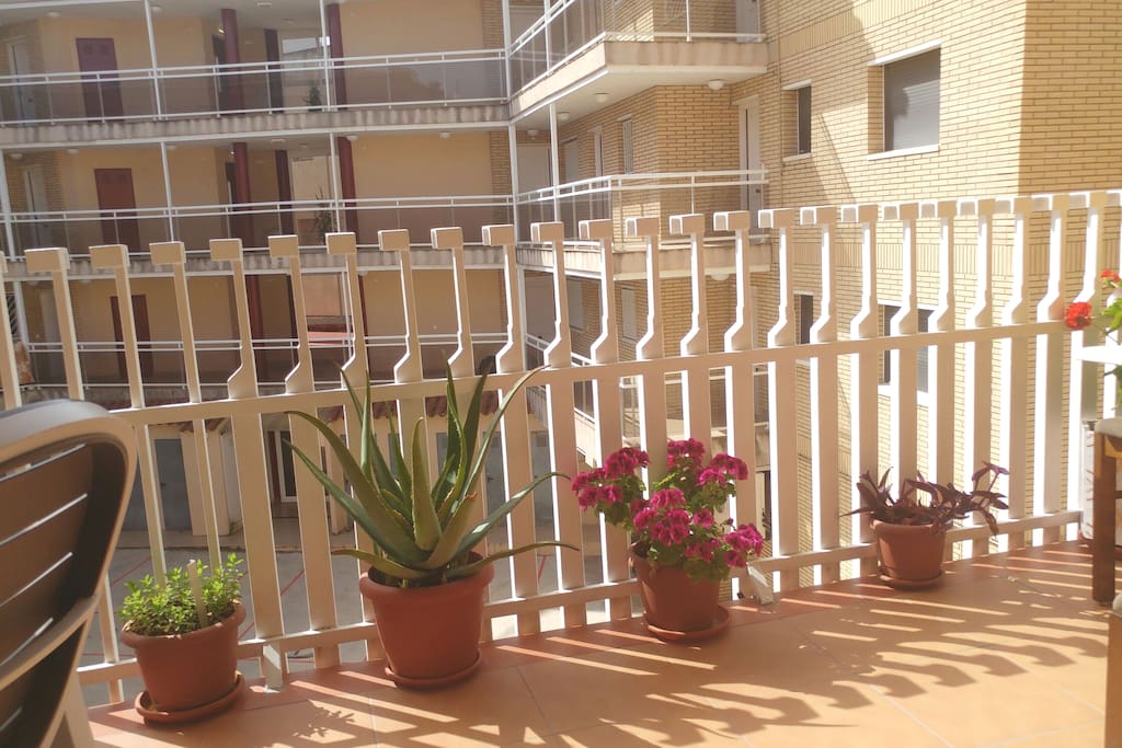 Terraza